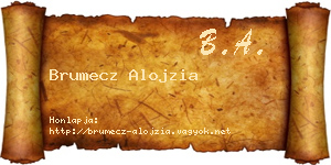 Brumecz Alojzia névjegykártya